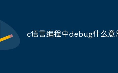 c语言编程中debug什么意思