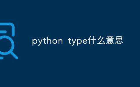 python type什么意思