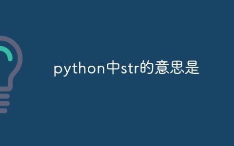 python中str的意思是