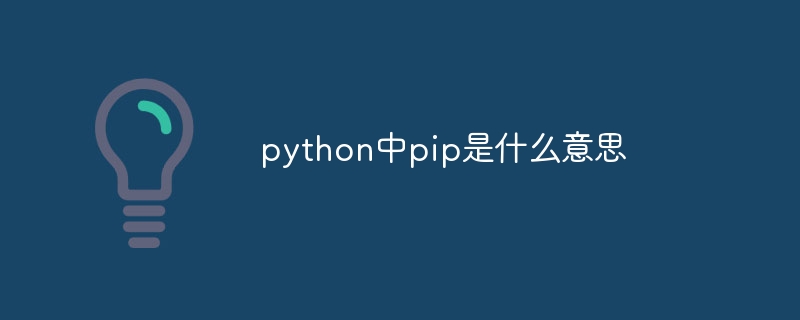 python中pip是什么意思