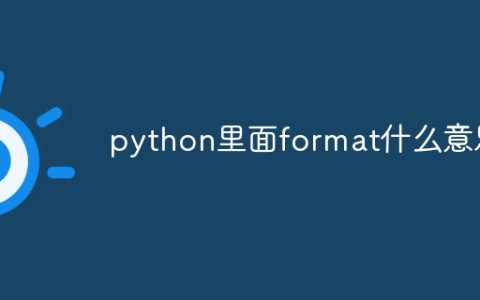 python里面format什么意思