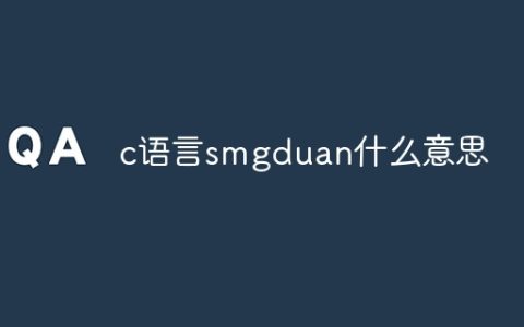 c语言smgduan什么意思