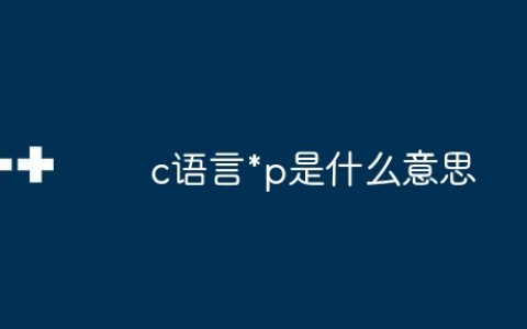 c语言*p是什么意思