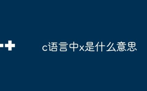 c语言中x是什么意思
