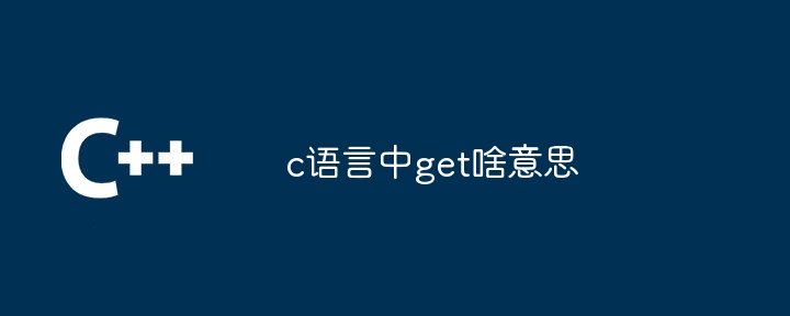 c语言中get啥意思