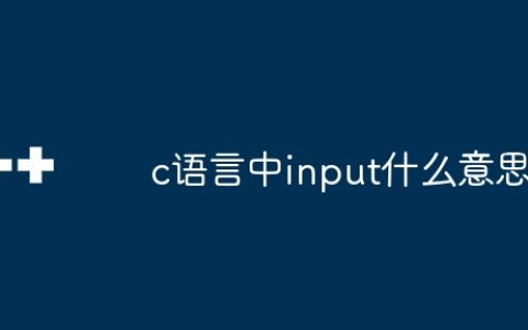c语言中input什么意思