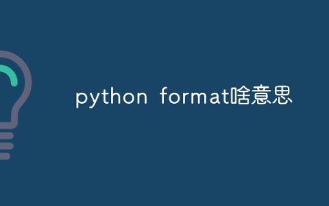 python format啥意思