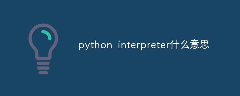 python interpreter什么意思