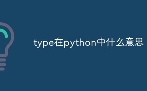 type在python中什么意思