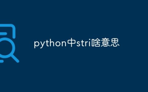python中stri啥意思