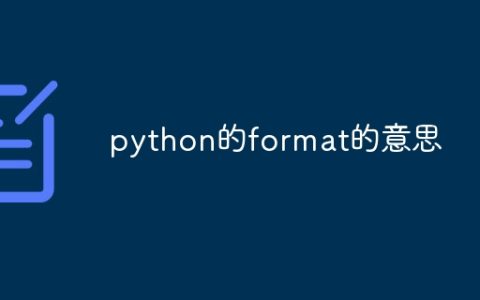python的format的意思