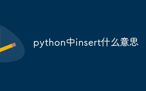 python中insert什么意思