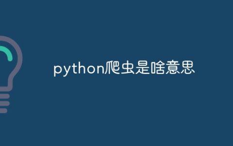 python爬虫是啥意思