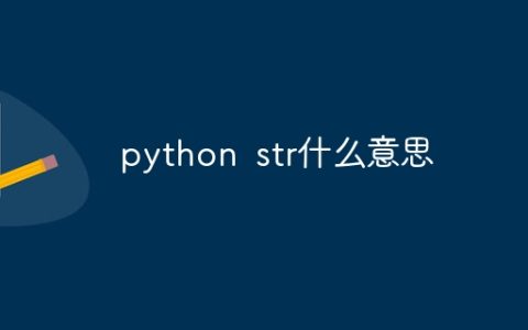 python str什么意思