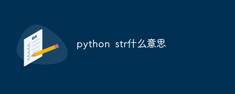python str什么意思