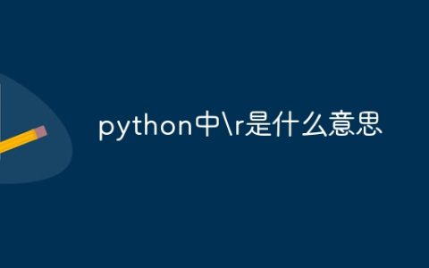 python中是什么意思