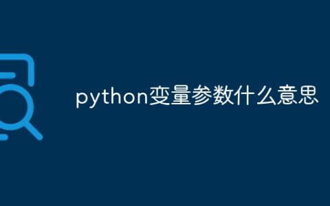 python变量参数什么意思