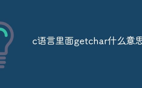 c语言里面getchar什么意思