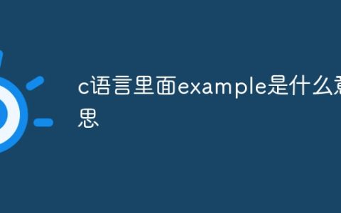 c语言里面example是什么意思
