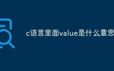 c语言里面value是什么意思