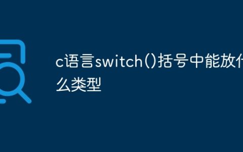 c语言switch()括号中能放什么类型