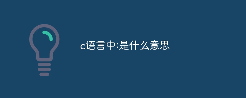 c语言中:是什么意思