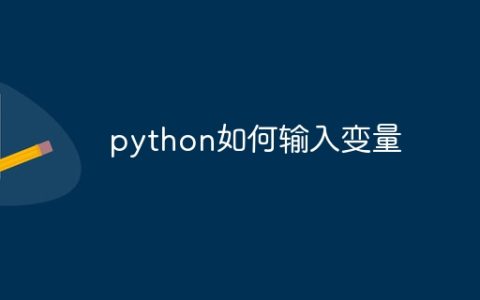 python如何输入变量