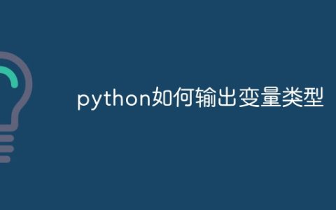python如何输出变量类型