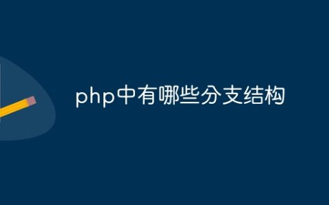 php中有哪些分支结构