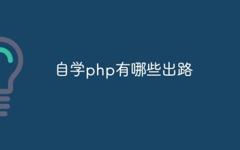 自学php有哪些出路