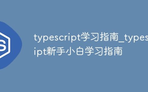 typescript学习指南_typescript新手小白学习指南