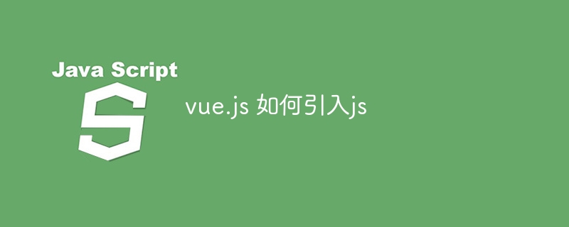 vue.js 如何引入js