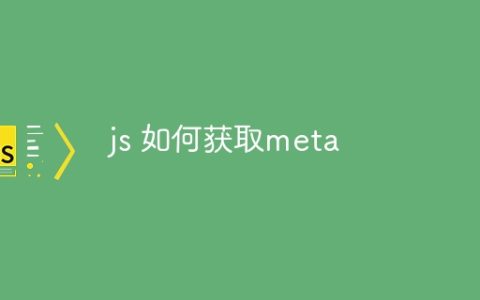 js 如何获取meta