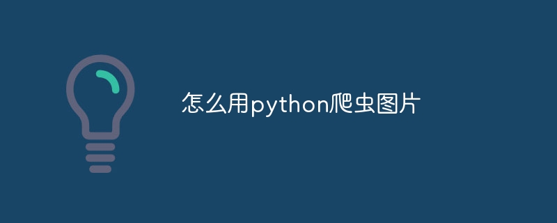 怎么用python爬虫图片
