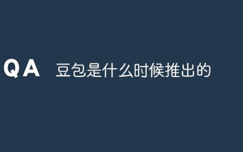 豆包是什么时候推出的
