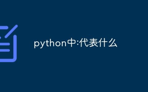 python中:代表什么