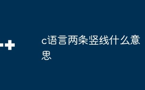 c语言两条竖线什么意思