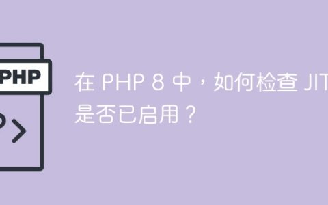 在 PHP 8 中，如何检查 JIT 是否已启用？
