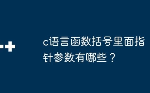 c语言函数括号里面指针参数有哪些？
