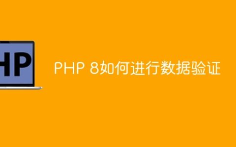 PHP 8如何进行数据验证