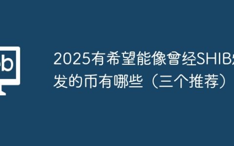 2025有希望能像曾经SHIB爆发的币有哪些（三个推荐）