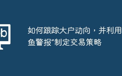 如何跟踪大户动向，并利用“鲸鱼警报”制定交易策略