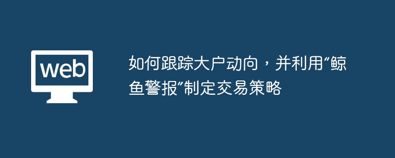 如何跟踪大户动向,并利用“鲸鱼警报”制定交易策略 - 创想鸟