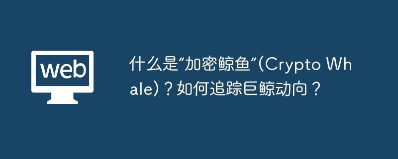 什么是“加密鲸鱼”(crypto whale)?如何追踪巨鲸动向? - 创想鸟