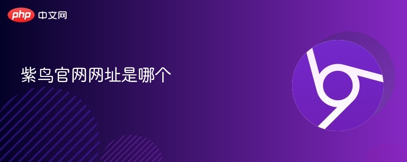 紫鸟官网网址是哪个 - 创想鸟