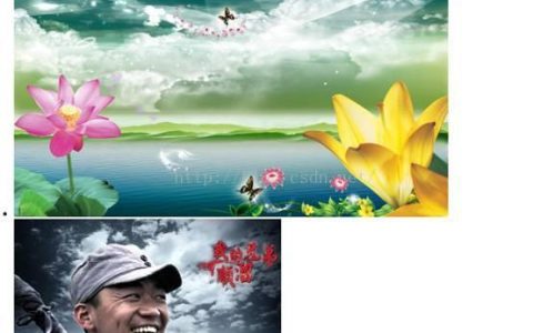 html中关于img标签以及改变图片尺寸的详解（图）