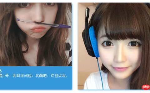 使用CSS3实现鼠标悬停图片上浮显示描述的示例代码分享