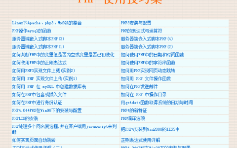 必应词典高效使用技巧