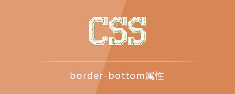 css border-bottom属性怎么用?