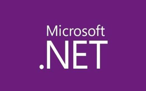 .net中的错误处理机制是什么？
